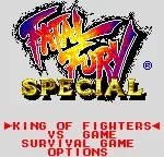 Fatal Fury Special