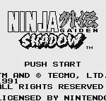 Ninja Gaiden Shadow