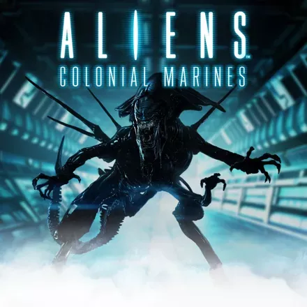 Jaquette United States