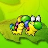 Jaquette United States