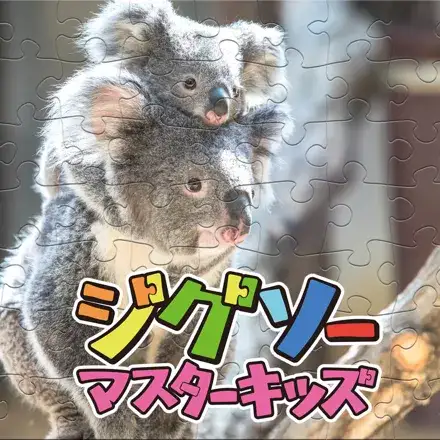 Jaquette Japan