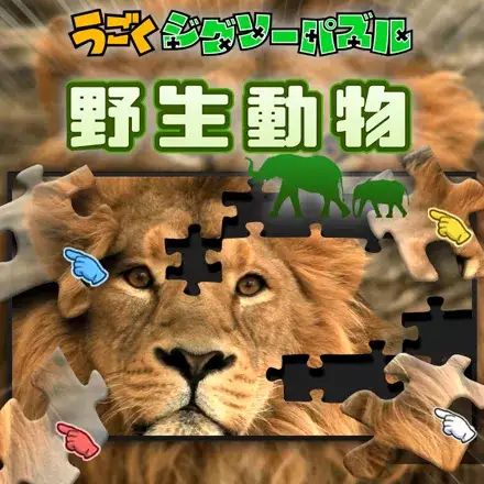 Jaquette Japan