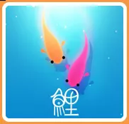 Jaquette United States